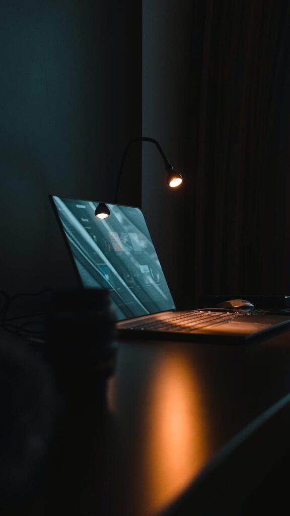La prueba digital en el proceso penal: algunas reflexiones sobre la valoración de la evidencia electrónica