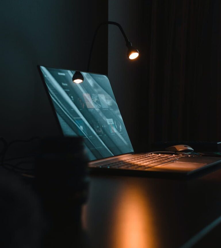 La prueba digital en el proceso penal: algunas reflexiones sobre la valoración de la evidencia electrónica